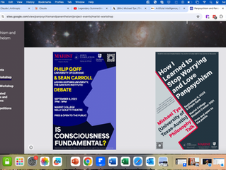 Panpsychism conference October 2023 New York